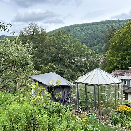 Wohn-Eitel Romantik Apartment Bad Wildbad Exterior photo