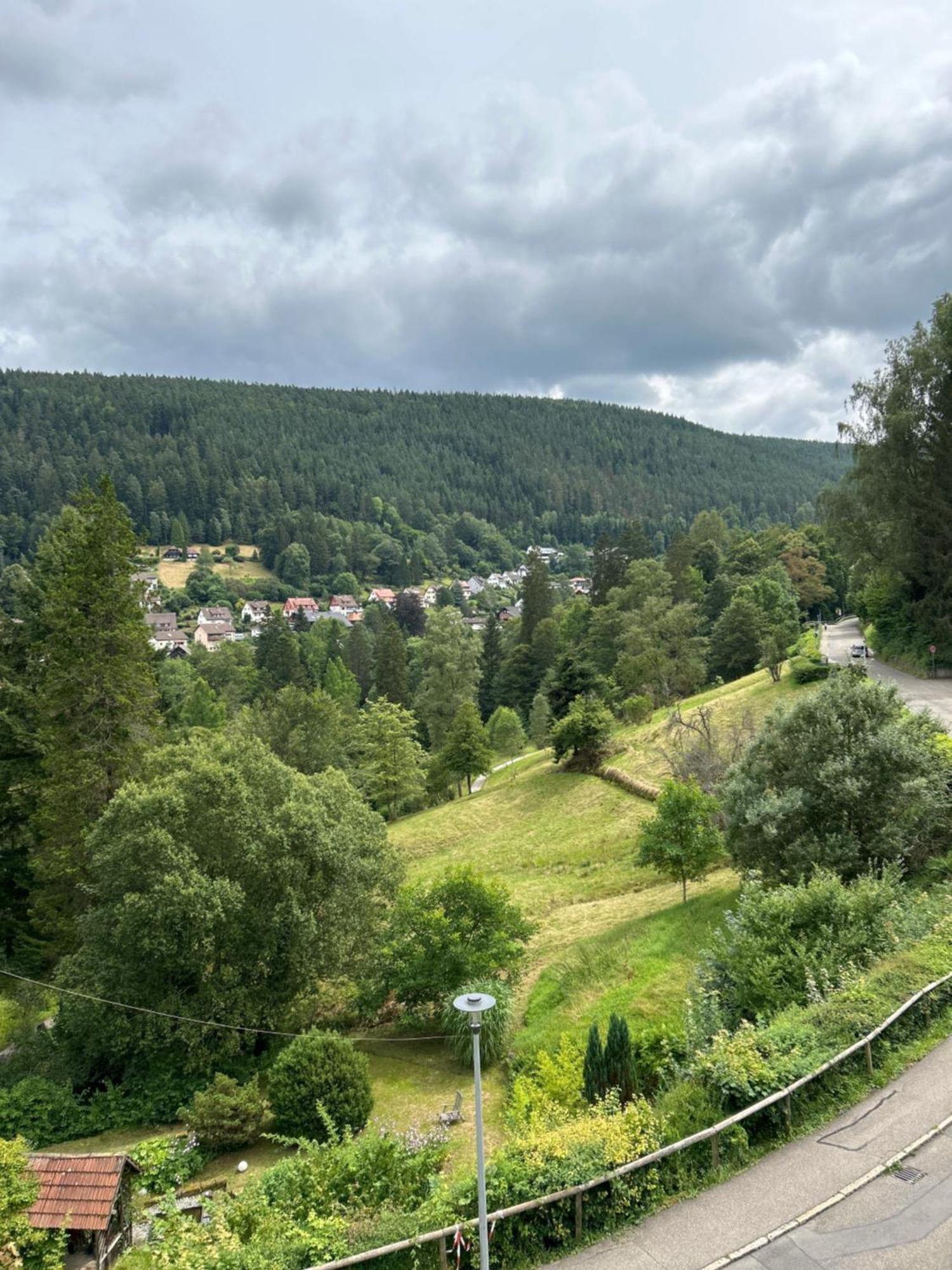 Wohn-Eitel Romantik Apartment Bad Wildbad Exterior photo